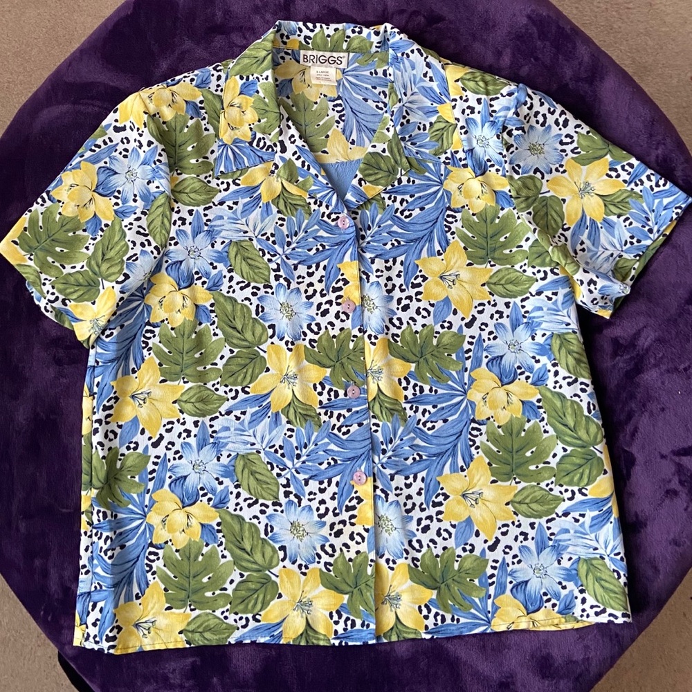 Briggs XL Blue and Green button down blouse.
